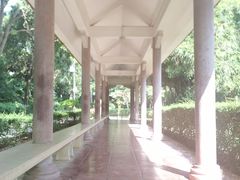 -大屏嶂森林公园