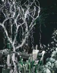 -北京东方茂酒店-宴会厅