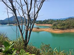 -广州市流溪河国家森林公园