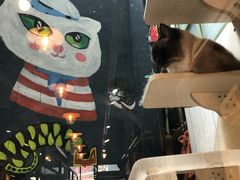 -猫咪博物馆(顶澳仔猫街店)