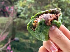 艾叶枣泥核桃青团-王家沙点心店(南京西路总店)