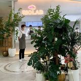 上海  RIOLAB锐澳轻饮实验室的饮品真是绝了！