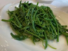 南瓜苗-川香楼酒家