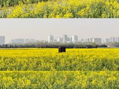 -汉长安城未央宫国家考古遗址公园