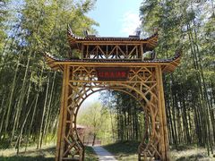 -黄海国家森林公园