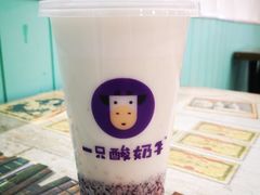 -一只酸奶牛(八一路店)