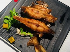 -皇朝会.经典传统粤菜(外滩店)