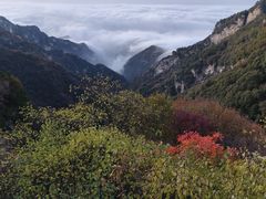 -少华山国家森林公园