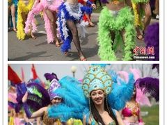 -荷兰花海