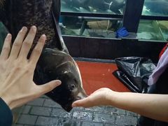 -全乐鱼馆·淳牌有机鱼直营店