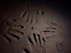 -瑶湖郊野森林公园