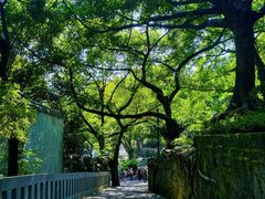 -鹅岭公园瞰胜楼