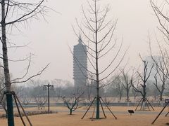 -西海子公园