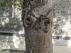 -盛世南宫影视城(北普陀影视城)