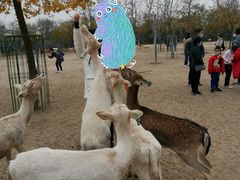 -北京麋鹿生态实验中心