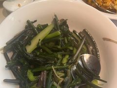 -院里寻菜·精致庭院菜(观沙岭店)