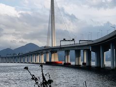 -深圳湾公园(南山区)