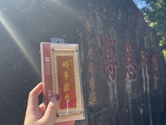 -南普陀素饼