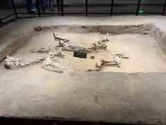 -洛阳周王城天子驾六博物馆