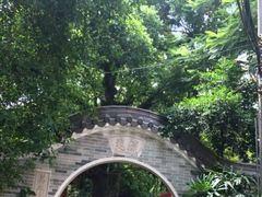 -小洲村
