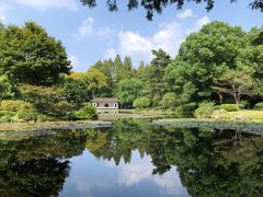 -杭州植物园