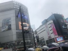 -涩谷区