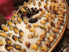 -咖啡苑 - 蔚藍夏日限定主题(永利皇宫店)