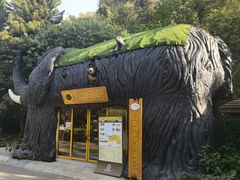 -野象谷景区