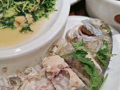 -长平肥姐白粥·海鲜打冷