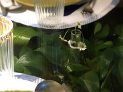 -春树下·树屋花房西餐厅(罍街AS1980店)