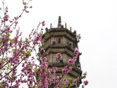 -船政文化景区-罗星塔公园