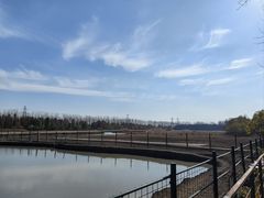 -溱湖国家湿地公园