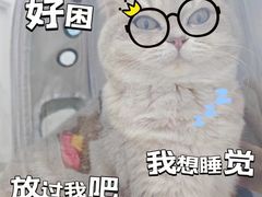 -海门爱心宠物医院