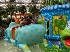 -南宫五洲植物乐园