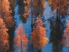 -白鹭湾湿地公园