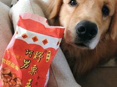 -阿男野栗王(金门路店)