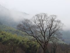 -塔川景区