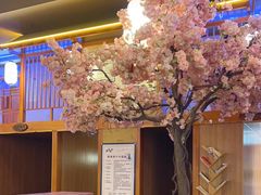 -汤泉良子(金源店)