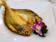 -丰谷茶楼(鸿大广场店)