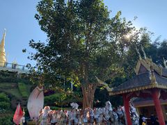 -西双版纳勐泐文化旅游区