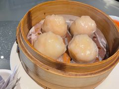 原只鲜虾饺-维园悦谱·海派家常菜(乌鲁木齐南路店)