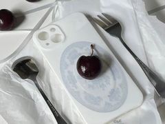 -BLACKSWAN黑天鹅(环球店)