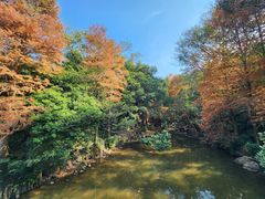 -深圳仙湖植物园