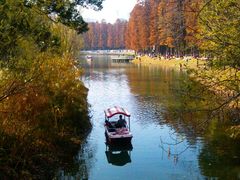 android_upload_pic-解放公园