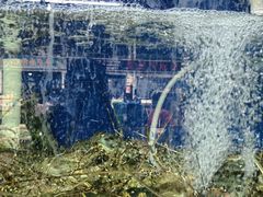 -众彩物流水产市场