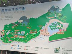 -鹿嘴山庄