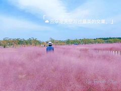 -嘉北郊野公园