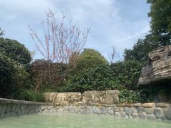 -杭州第一世界大酒店·云曼温泉