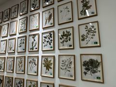 -云溪植物园