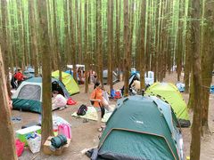 -山王坪喀斯特国家生态公园